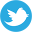 twitter page
